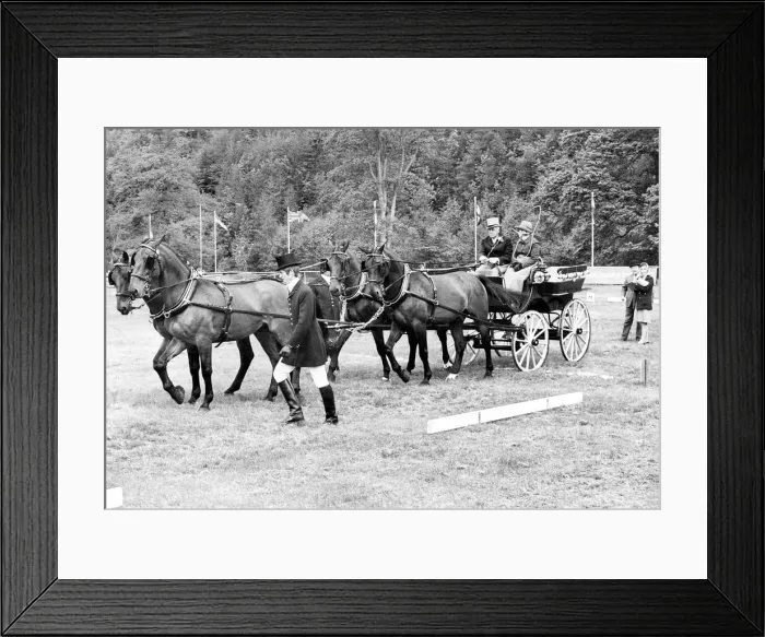 Framed Print : Mr. P. B. Hoffman, from Florida, puts his carriage team through its paces at Lowther Framed Print : Mr. P. B. Hoffman, from Florida, puts his carriage team through its paces at Lowther