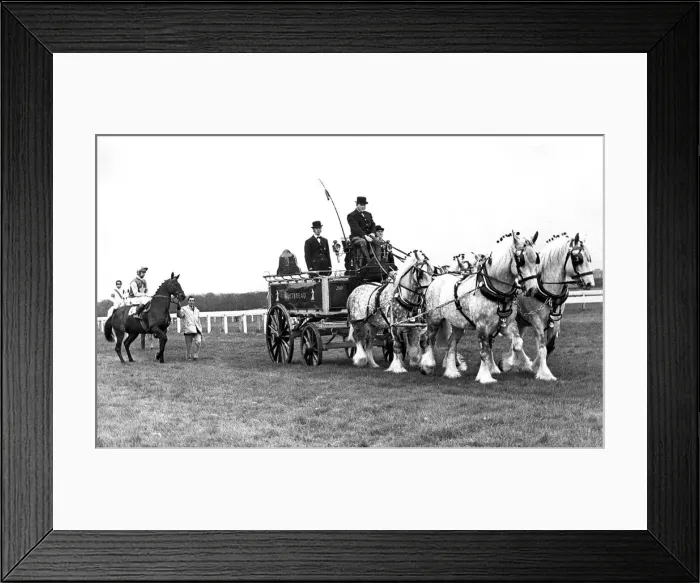 Framed Print : The Whitbread coach, followed by Charlie Potheen, who went on to win the Whitbread Gold Framed Print : The Whitbread coach, followed by Charlie Potheen, who went on to win the Whitbread Gold