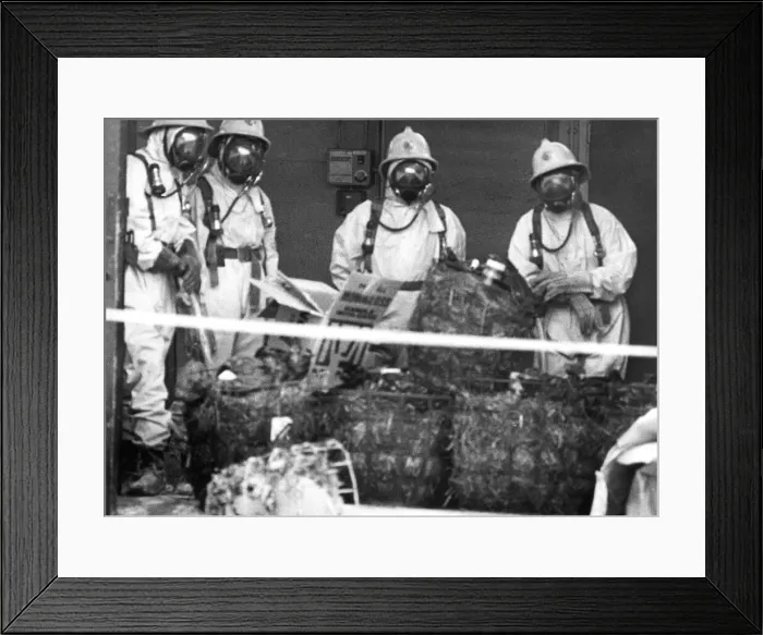 Framed Print : Firefighters donned protective clothing when 10 gallons of nitric acid was splilled in a Framed Print : Firefighters donned protective clothing when 10 gallons of nitric acid was splilled in a
