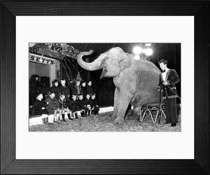 Framed Print : Children from Linden Prep School in Newcastle visiting Robert Fossett Framed Print : Children from Linden Prep School in Newcastle visiting Robert Fossett