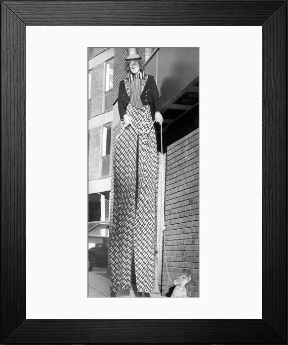 Framed Print : Stilt walker Roy Moore taking a lion cub for a walk in Newcastle Framed Print : Stilt walker Roy Moore taking a lion cub for a walk in Newcastle