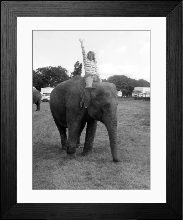 Framed Print : Riding high on Bridget the elephant