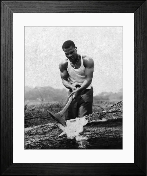 Framed Print : Joe Bygraves in a serious mood chopping up a large tree trunk on a nearly farm in Upton Framed Print : Joe Bygraves in a serious mood chopping up a large tree trunk on a nearly farm in Upton