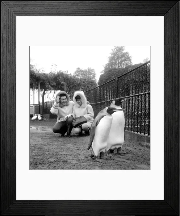 Framed Print : John and Kitty Williams the eskimos went to Regents Park Zoo this morning Framed Print : John and Kitty Williams the eskimos went to Regents Park Zoo this morning