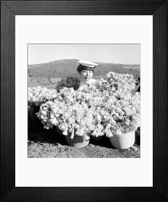 Framed Print : Wren Anne Rendell of Exmouth from H. M. S. Drake
