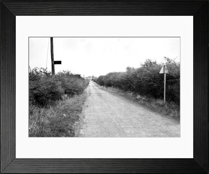 Framed Print : British hedgerows which are a haven for all sorts of wildlife Framed Print : British hedgerows which are a haven for all sorts of wildlife