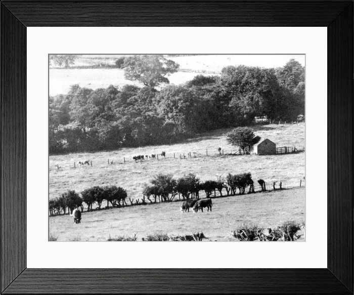 Framed Print : A typical British countryside scene Framed Print : A typical British countryside scene