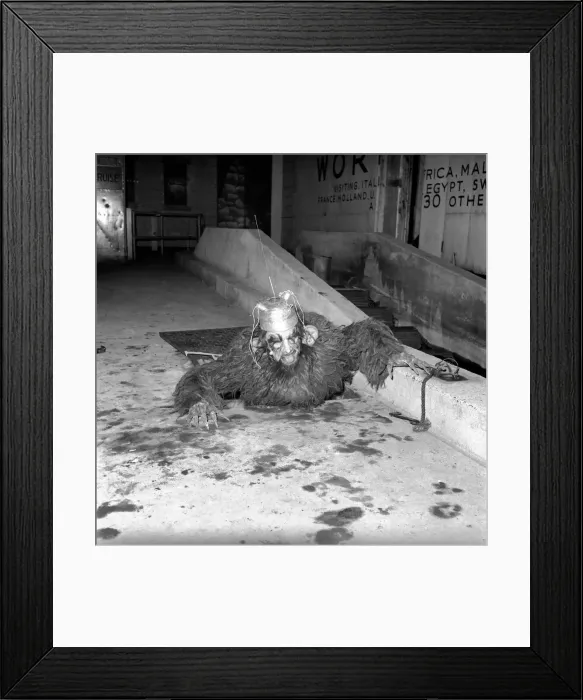 Framed Print : Actor Derek Nimmo seen here dressed as a monster. March 1957 A327-002 *** Local Caption Framed Print : Actor Derek Nimmo seen here dressed as a monster. March 1957 A327-002 *** Local Caption
