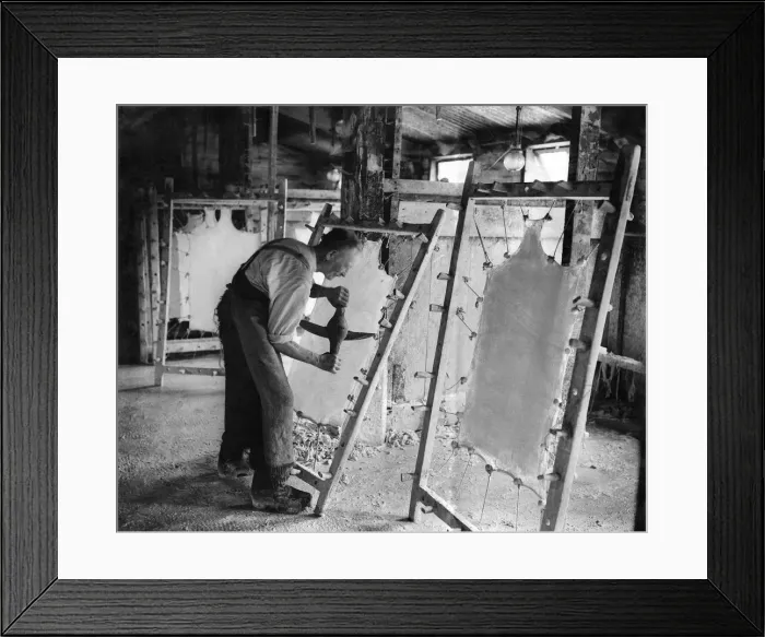 Framed Print : Industry. Rural. Parchment making 1000 year old industry. August 1935 P010021