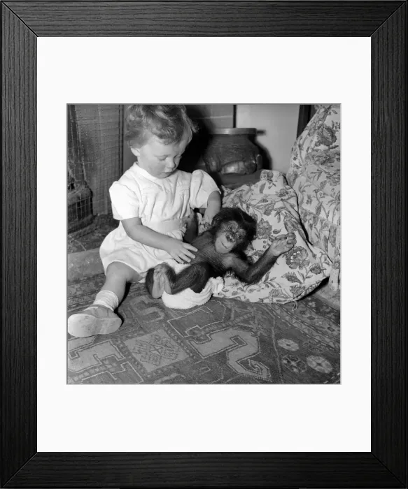 Framed Print : Being reared as a child e complete with nappies e that is the lot of two months old baby Framed Print : Being reared as a child e complete with nappies e that is the lot of two months old baby