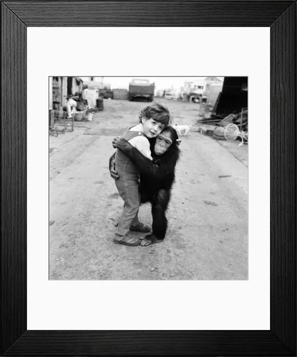 Framed Print : Sparky and Friend: Because she was born on Bonfire night, two years ago Framed Print : Sparky and Friend: Because she was born on Bonfire night, two years ago
