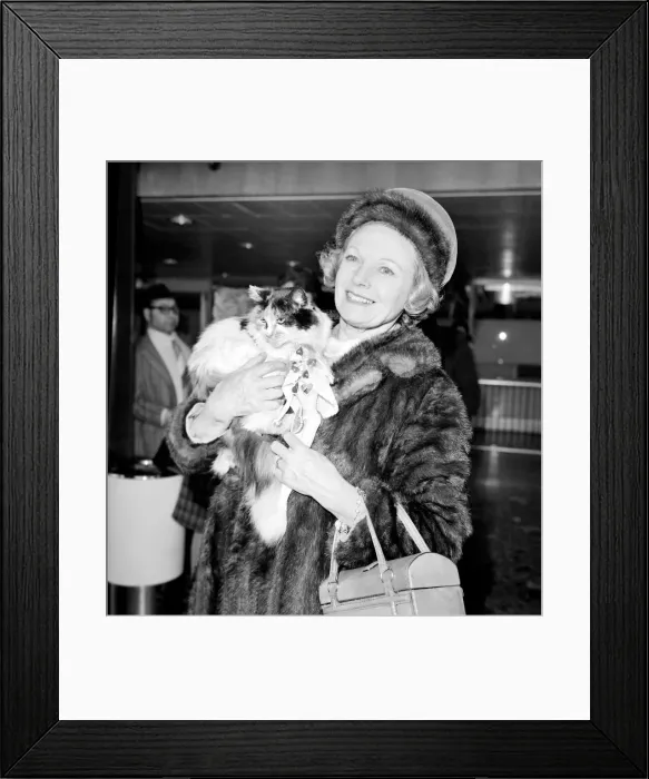 Framed Print : Dame Anna Neagle and her husband Herbert Wilcox arrived at Heathrow Airport today