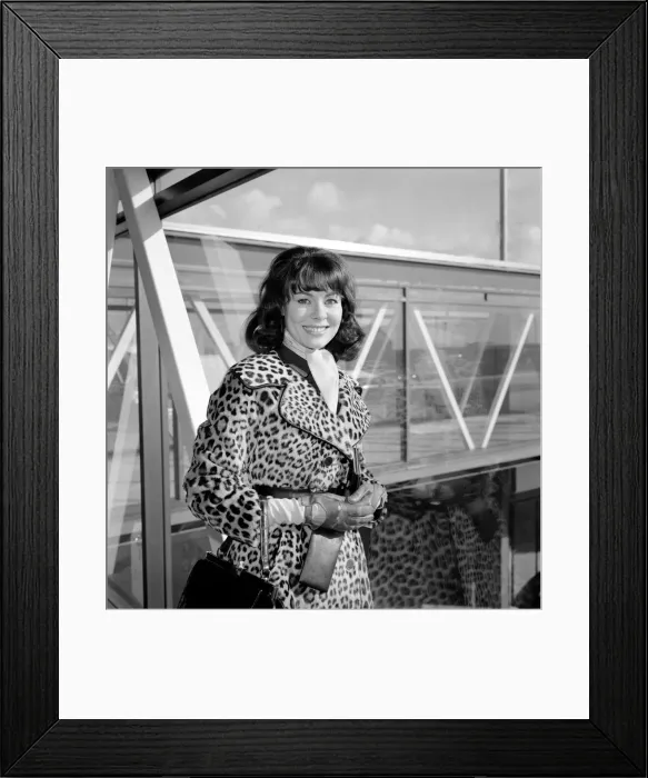 Framed Print : Actress Anne Heywood, arrived at Heathrow Airport today from Geneva
