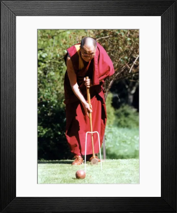 Framed Print : The Dalai Lama, the Tibetan spirtual leader pictured playing croquet at the Egerton Grey Framed Print : The Dalai Lama, the Tibetan spirtual leader pictured playing croquet at the Egerton Grey