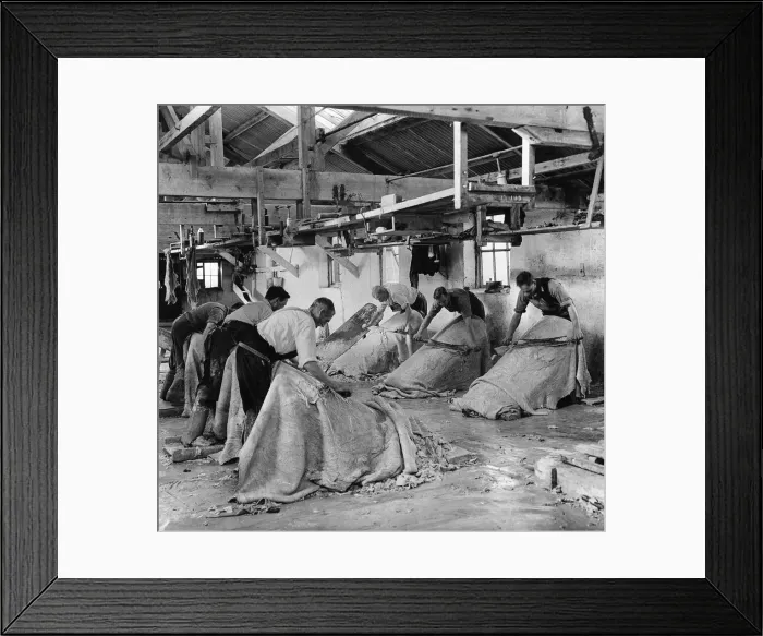 Framed Print : Canterbury. St. Mildveds Tannery. Fleshing hides to make leather Framed Print : Canterbury. St. Mildveds Tannery. Fleshing hides to make leather