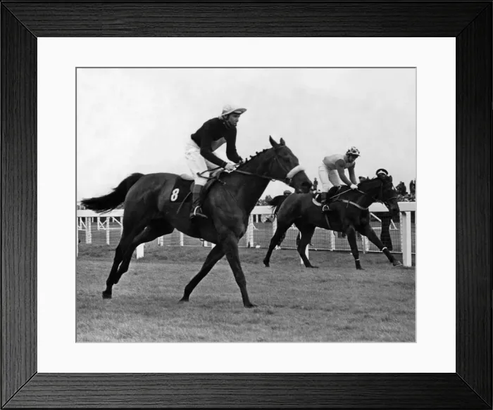 Framed Print : Grand National, Aintree, at the post. Its a close finish as Red Rum (Left Framed Print : Grand National, Aintree, at the post. Its a close finish as Red Rum (Left