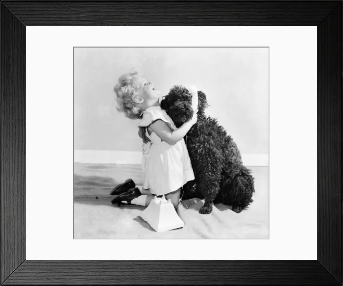 Framed Print : Susan Phillips seen here bathing her poodle Andy. November 1953 D6816-001 Framed Print : Susan Phillips seen here bathing her poodle Andy. November 1953 D6816-001