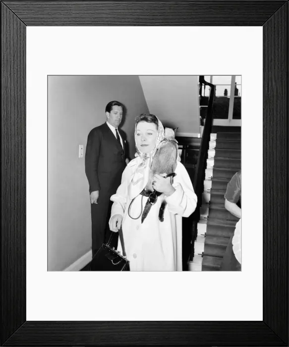 Framed Print : Vivien Leigh leaving her flat at 54 Eaton Square tonight at 6. 15 pm