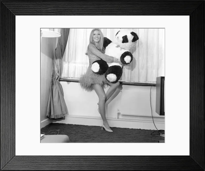 Framed Print : Entertainment television: Presenter Clodagh Rodgers at her home in London with her cuddly Framed Print : Entertainment television: Presenter Clodagh Rodgers at her home in London with her cuddly
