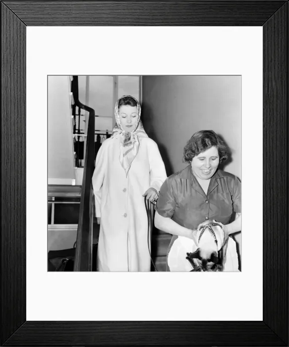 Framed Print : Vivien Leigh leaving her flat at 54 Eaton Square tonight at 6. 15 pm Framed Print : Vivien Leigh leaving her flat at 54 Eaton Square tonight at 6. 15 pm