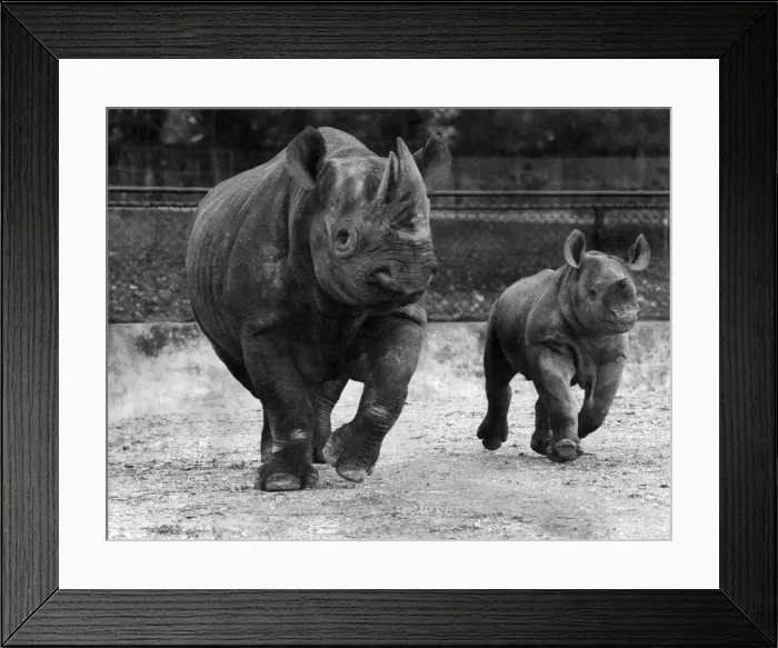 Framed Print : Its not only the birds and the bees who get that great to be alive Framed Print : Its not only the birds and the bees who get that great to be alive