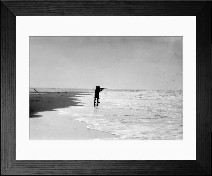 Framed Print : The seals of Scroby Sands, Norfolk, were to pay dearly for all the net-ripping Framed Print : The seals of Scroby Sands, Norfolk, were to pay dearly for all the net-ripping