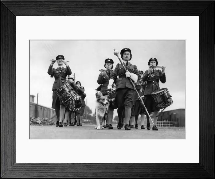 Framed Print : World War II Women. Flight Sergeant Wimpy'is the Welsh Collie mascot of a W. A Framed Print : World War II Women. Flight Sergeant Wimpy'is the Welsh Collie mascot of a W. A