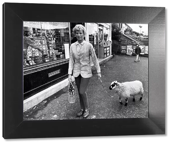 When Mrs. Moray Bell goes shopping, Basil the Lamb trots along with her