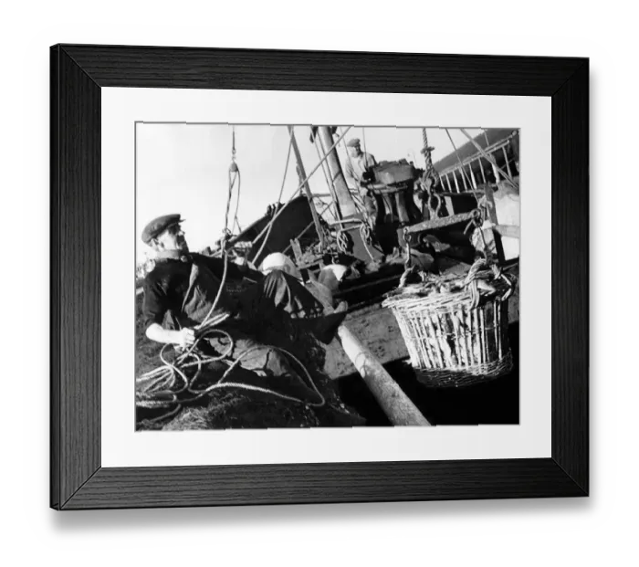 Framed Print : Scottish fisherman of 50 years Alec Gardiner gives a hand on the drifter Framed Print : Scottish fisherman of 50 years Alec Gardiner gives a hand on the drifter