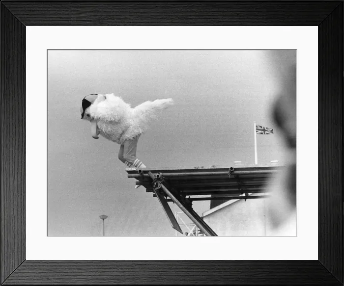 Framed Print : The Birdmen of Bognor. Thats no chicken... it Framed Print : The Birdmen of Bognor. Thats no chicken... it