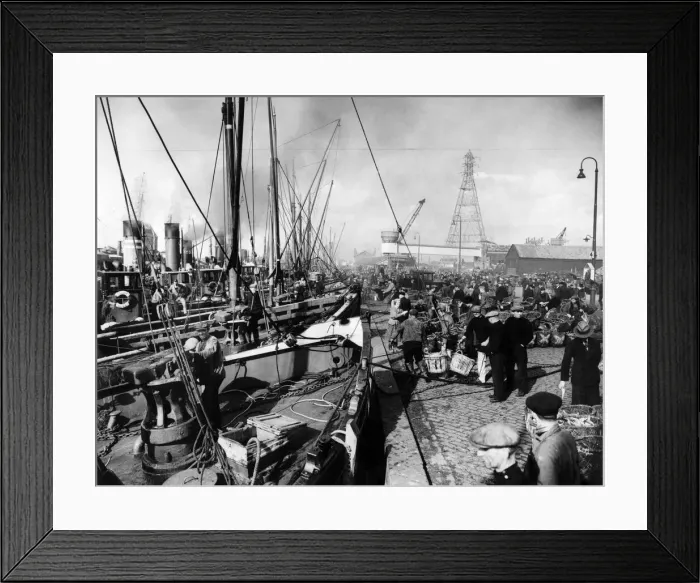 Framed Print : The herring fleet lands its catch at Yarmouth. October 1936 P004154