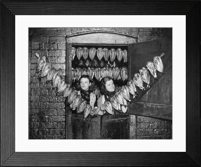 Framed Print : Herrings kippers are prepared to be smoked. January 1940 P004036 Framed Print : Herrings kippers are prepared to be smoked. January 1940 P004036