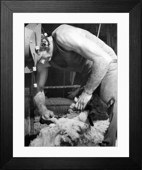 Framed Print : The man from Wagga way out back in deepest Surrey with 350 jumpjocks Framed Print : The man from Wagga way out back in deepest Surrey with 350 jumpjocks
