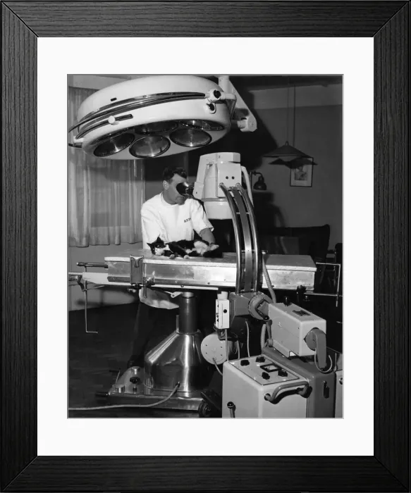 Framed Print : This X ray machine will protect pets from the danger of radiation
