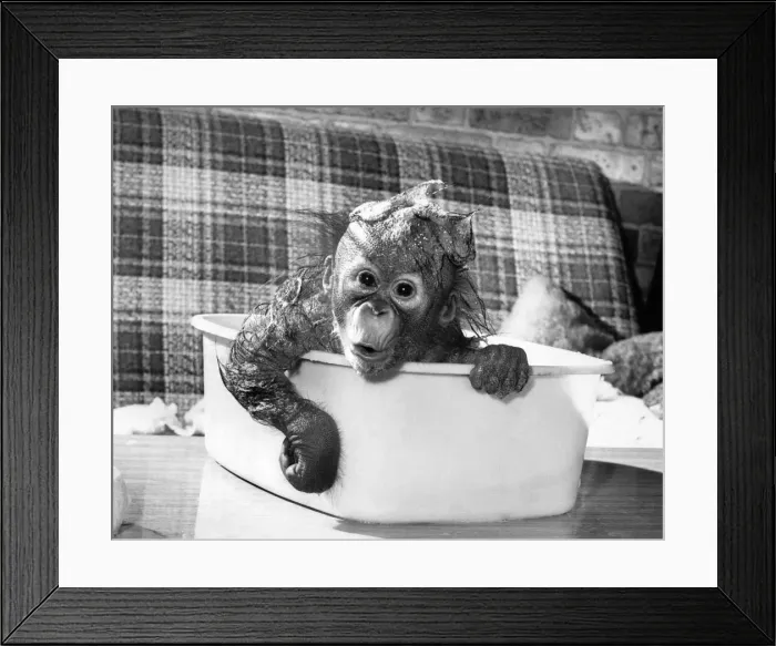 Framed Print : Bathtime Bubbles. Bathtime is a real laugh in the Clarkson household Framed Print : Bathtime Bubbles. Bathtime is a real laugh in the Clarkson household