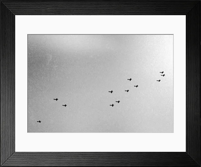 Framed Print : Alfieri. Spitfires in formation. October 2nd 1940 Framed Print : Alfieri. Spitfires in formation. October 2nd 1940