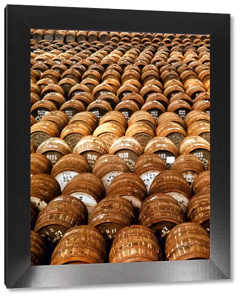 Empty casks used in the production of whisky awaiting filling at the Distillery at