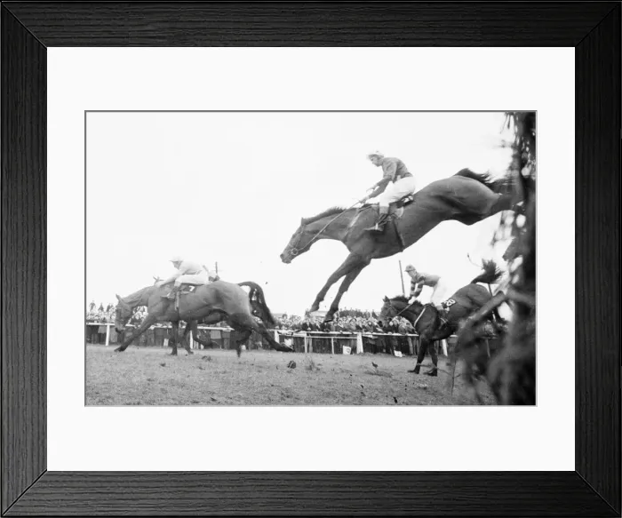 Framed Print : Grand National 1969 Kilburn No 7 stumbles and throws his jockey T Carberry