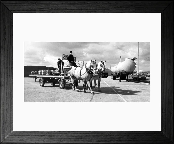 Framed Print : A wagon from the Vaux Brewery being led by two Persherons in 1986 Framed Print : A wagon from the Vaux Brewery being led by two Persherons in 1986