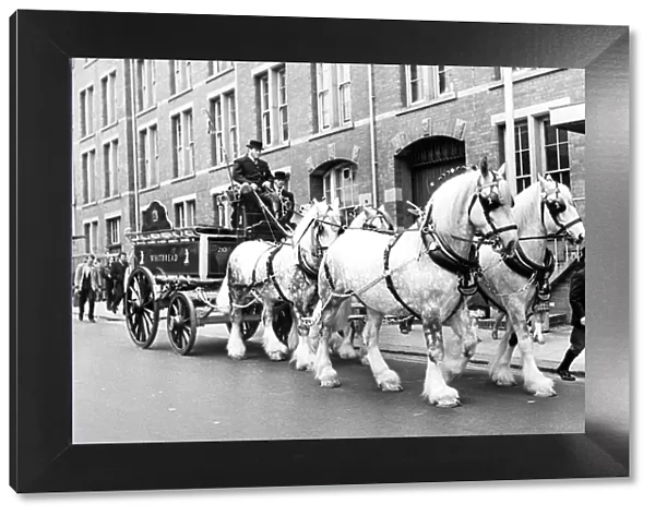Whitbreads Shirehorses in St. Thomass Street leading horses hengist