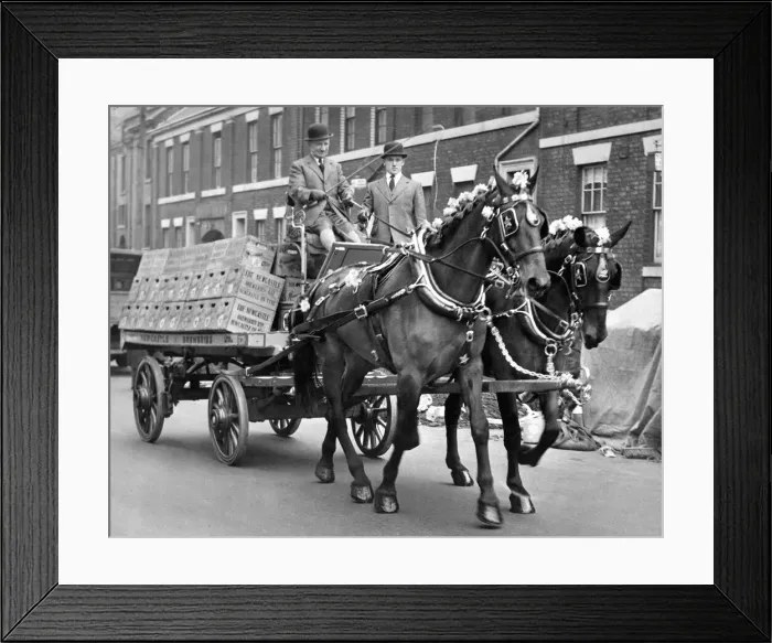 Framed Print : Whiskey and Rum take a spirited jog-trot round Newcastle in full floral decoration to Framed Print : Whiskey and Rum take a spirited jog-trot round Newcastle in full floral decoration to