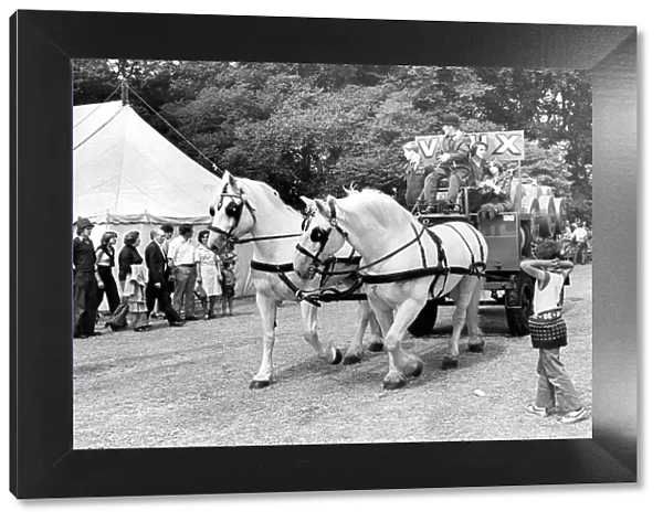 The dray horses enter The Durham Show on Lambton Park in 1978