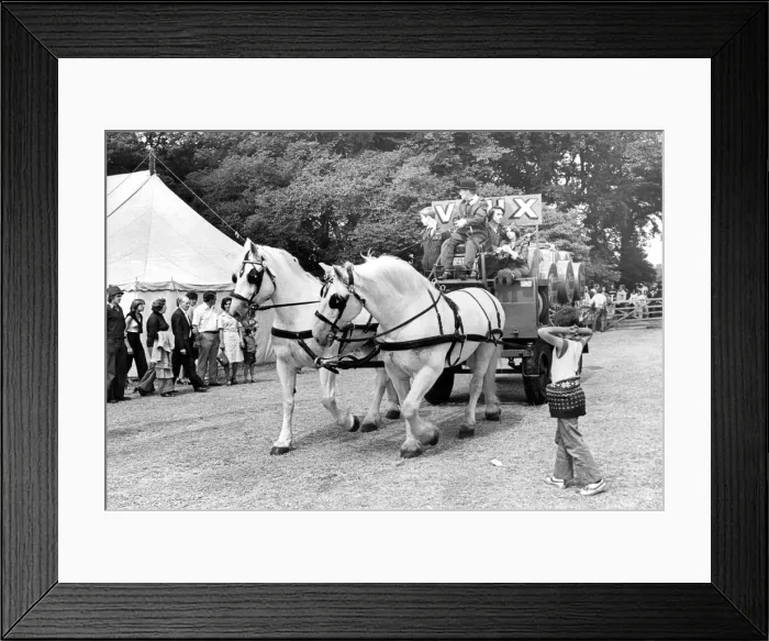 Framed Print : The dray horses enter The Durham Show on Lambton Park in 1978 Framed Print : The dray horses enter The Durham Show on Lambton Park in 1978