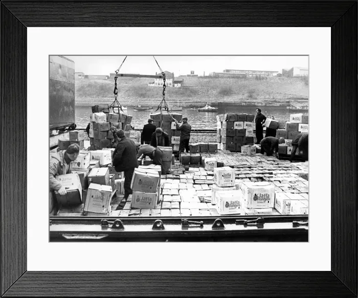 Framed Print : Dockers begin to unload a cargo of oranges at the Newcastle Quayside in 1978