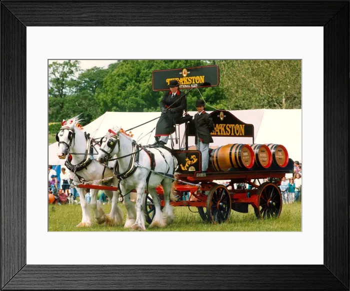 Framed Print : The Theadston Brewery wagon pulled by two Shirehorses at a local show in 1994 Framed Print : The Theadston Brewery wagon pulled by two Shirehorses at a local show in 1994