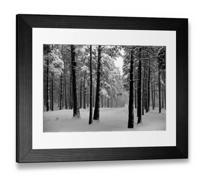 Framed Print : Snow Scenes at Oxshott during the winter of 1940 L104