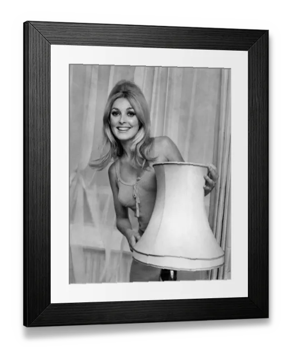 Framed Print : 13 is not the unlucky number for 22 years old American actress Sharon Tate who has landed