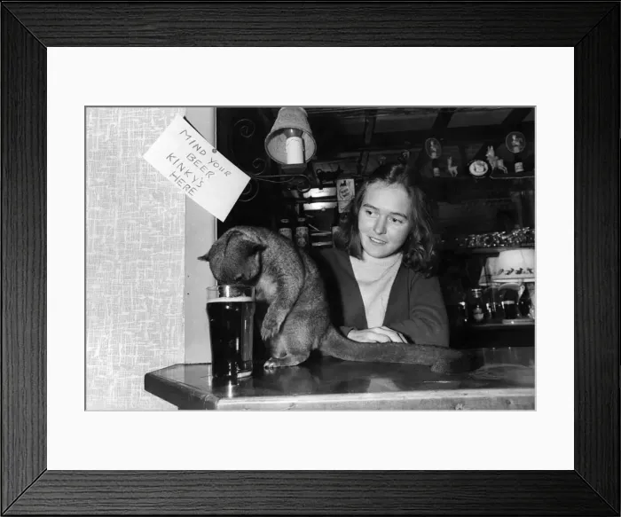 Framed Print : Bear with a taste for beer. No wonder hes called Kinky Framed Print : Bear with a taste for beer. No wonder hes called Kinky