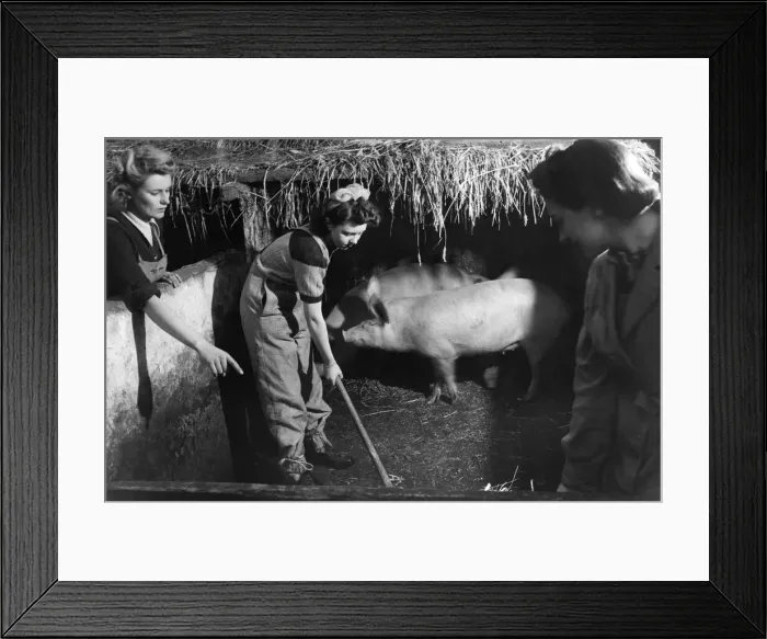 Framed Print : A model Farm School for Womens Land Army at Chalfont St. Giles Framed Print : A model Farm School for Womens Land Army at Chalfont St. Giles