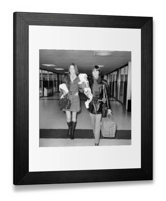 Framed Print : The Monkees: Monkee Davy Jones Arrived at Heathrow Airport with his wife Linda Framed Print : The Monkees: Monkee Davy Jones Arrived at Heathrow Airport with his wife Linda